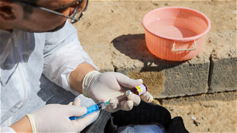 مشکلی در تامین واکسن دام و طیور آذربایجان‌غربی وجود ندارد