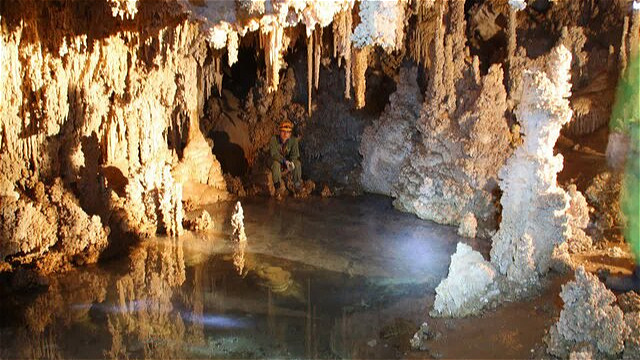 تعطیلی غارنوردی در آذربایجان‌غربی همزمان با آغاز خواب زمستانی خفاش‌ها