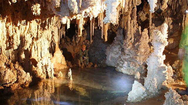 تعطیلی غارنوردی در آذربایجان‌غربی همزمان با آغاز خواب زمستانی خفاش‌ها