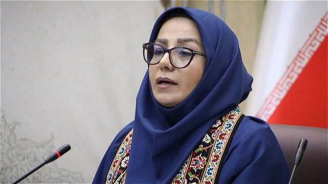 آذربایجان غربی می‌تواند پرچمدار فرش دست‌باف کشور باشد