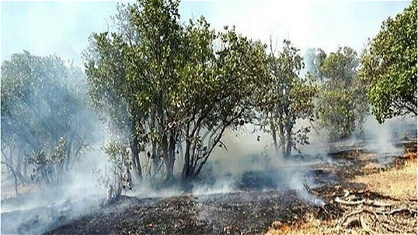 آتش‌سوزی در حریم پارک ملی دریاچه ارومیه مهار شد
