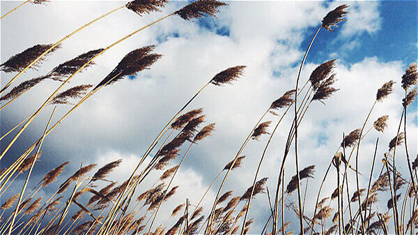 پیش بینی افزایش ابر و وزش باد در آذربایجان‌غربی